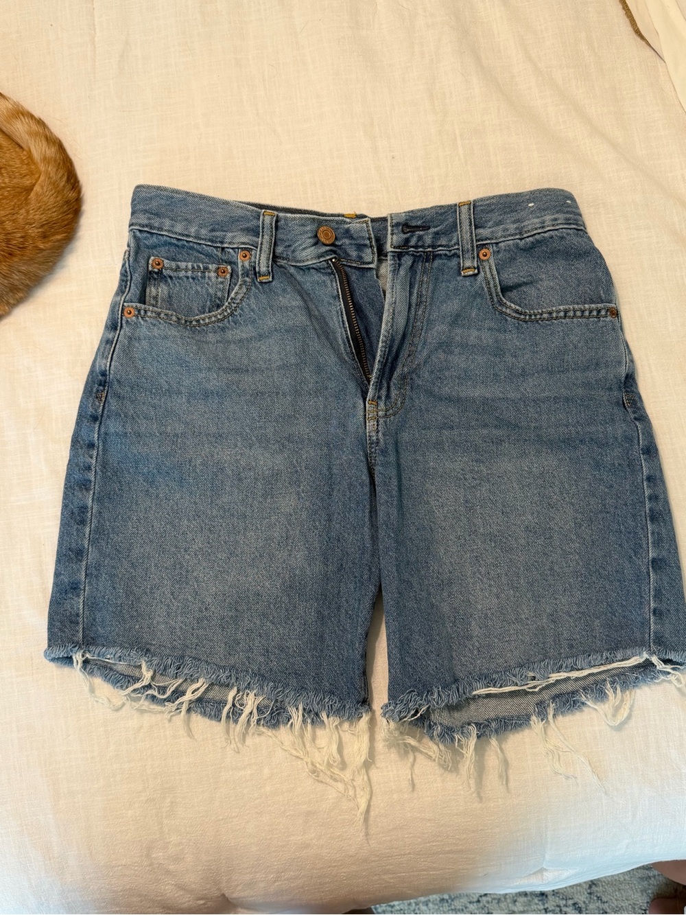 GAP Light Blue High-Rise Frayed Hem Denim Shorts